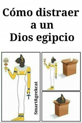 28468653_625640727779979_4838295150904417824_n.jpg (30.8 KiB) Visto 2522 veces 28468653_625640727779979_4838295150904417824_n.jpg