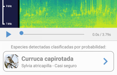 Screenshot_2020-05-23-18-22-20-1.png