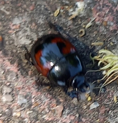 20220507_153518.jpg