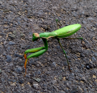 20221028_114607.jpg