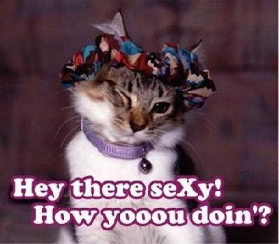 sexy.jpg
