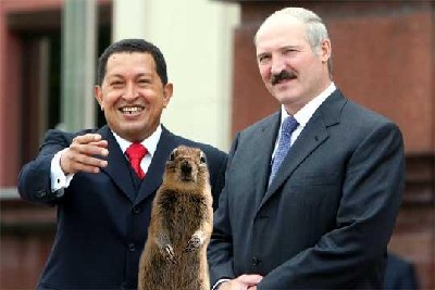 squirrel.jpg
