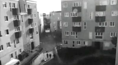 niano.JPG