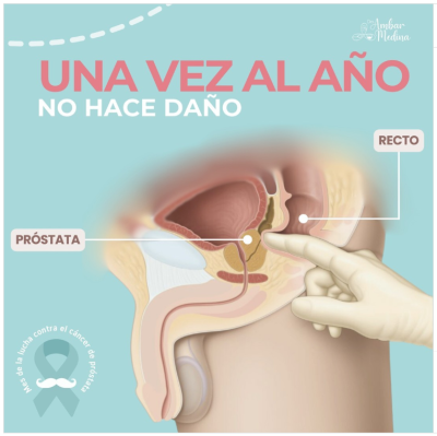 Captura de pantalla 2026-04-15 101833.png