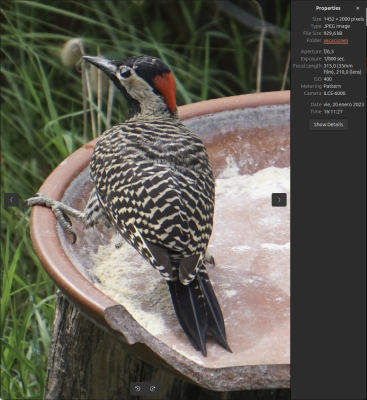 Screenshot from 2026-05-29 22-32-29.png